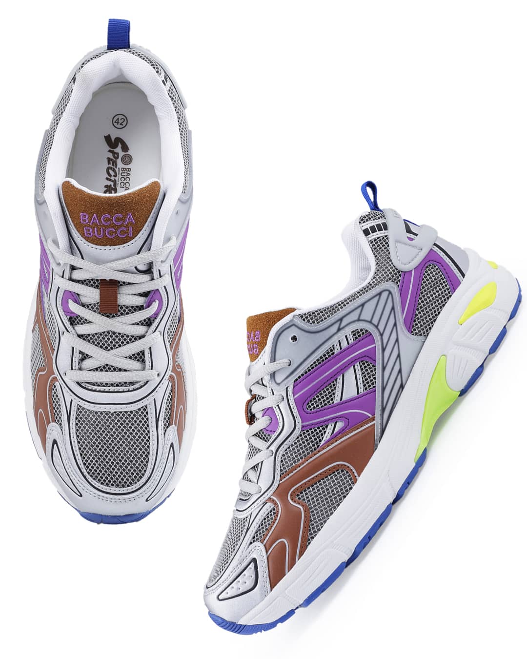 Spectra - Image 5