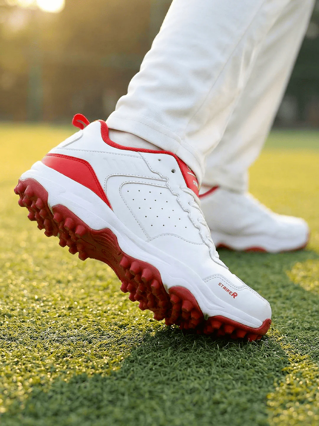 STRIKER - Image 20